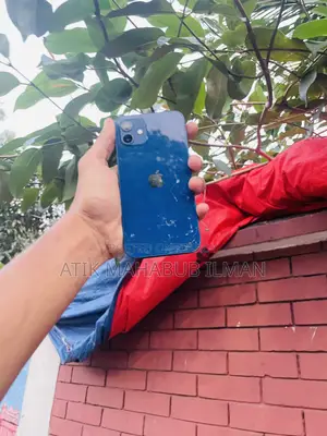 Apple iPhone 12 128 GB Blue
