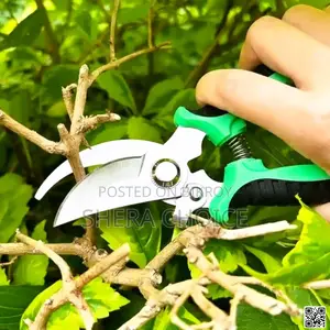 Sharp Garden Pruner Shears
