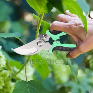 Sharp Garden Pruner Shears