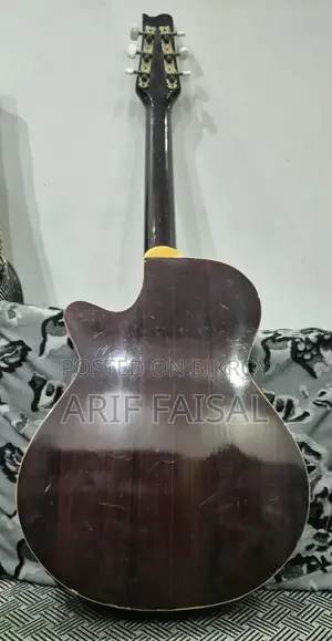 Acoustic Guitar
