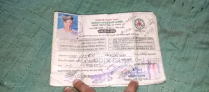 পেশাদার ড্রাইভার