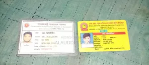 পেশাদার ড্রাইভার