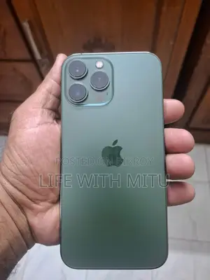 Apple iPhone 13 Pro Max 256 GB Green