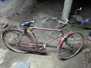 Captain Bicycle