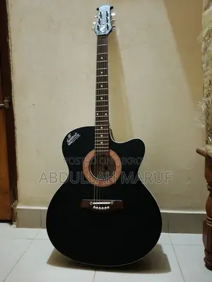 Signature Guitarsignature Topaz 265 Acoustic Guitar