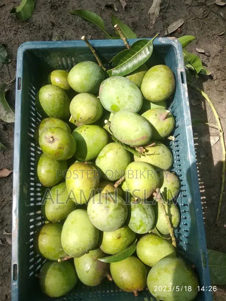 Completely Formalin-Free mango