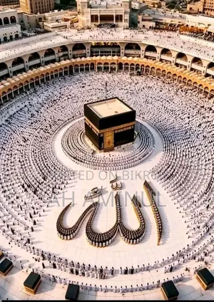 Quran Education