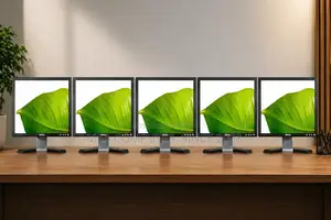 Japan Used >Dell Brand Led Monitor 100% Fresh & Replacement Guarantee