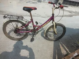 20-inch Bicycle