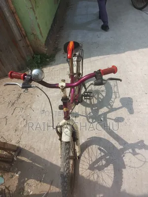 20-inch Bicycle