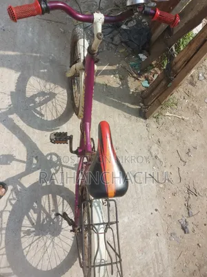 20-inch Bicycle