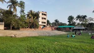 Land for Sale in Plots