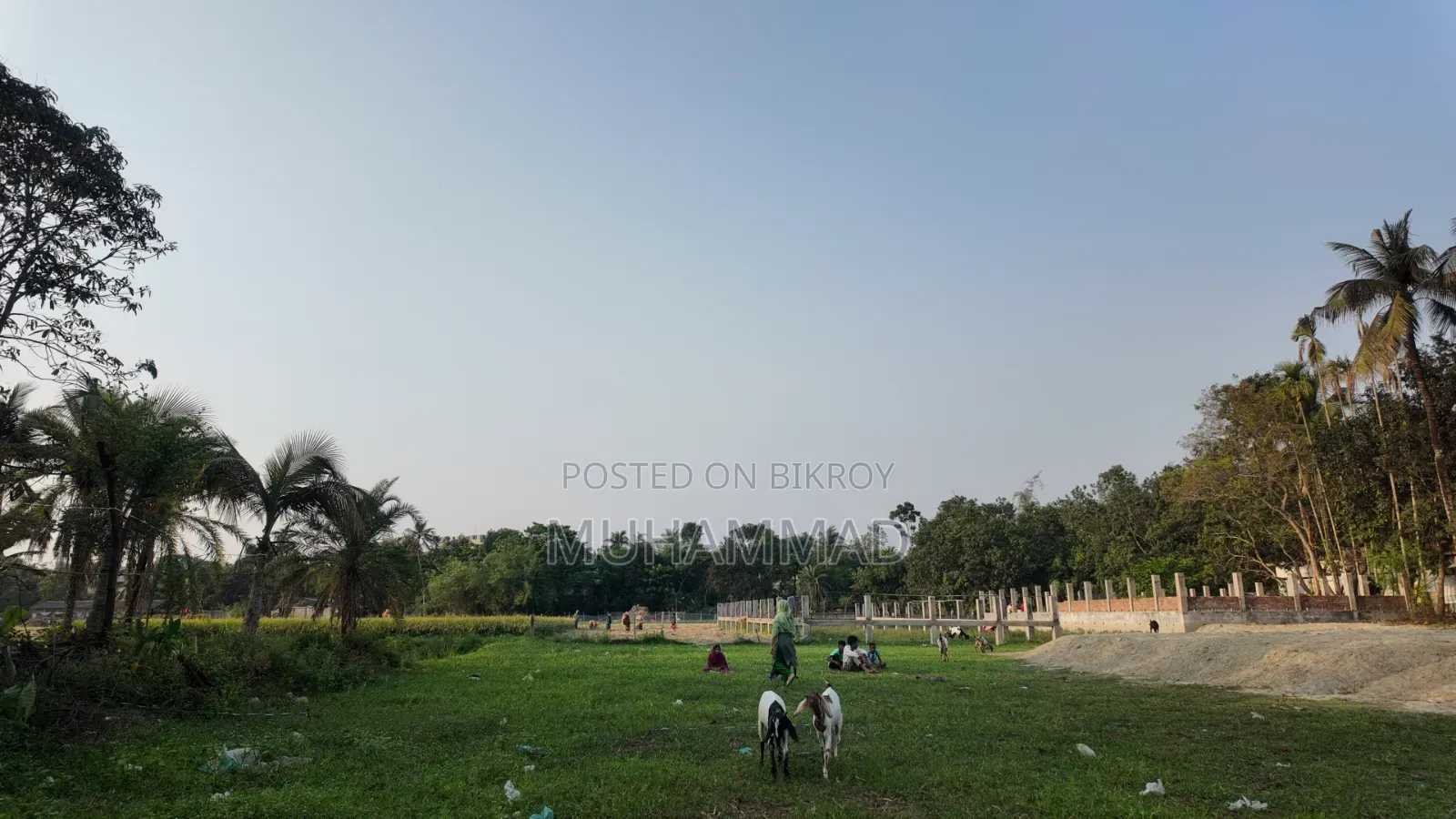 Land for Sale in Plots