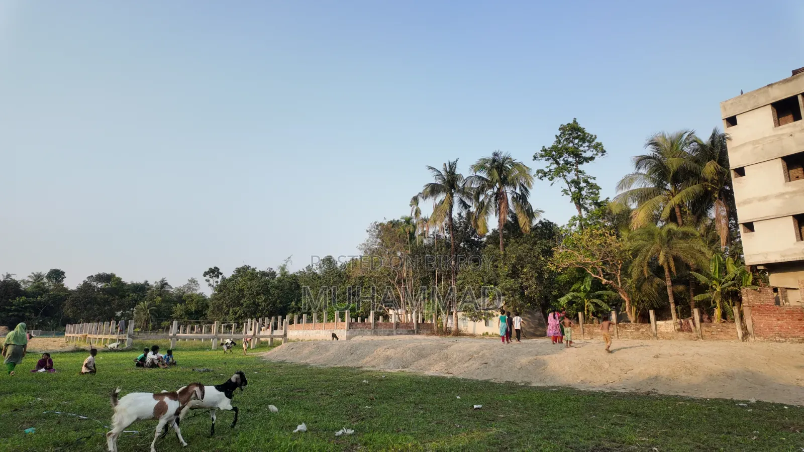 Land for Sale in Plots