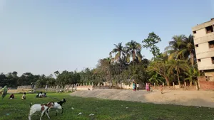 Land for Sale in Plots
