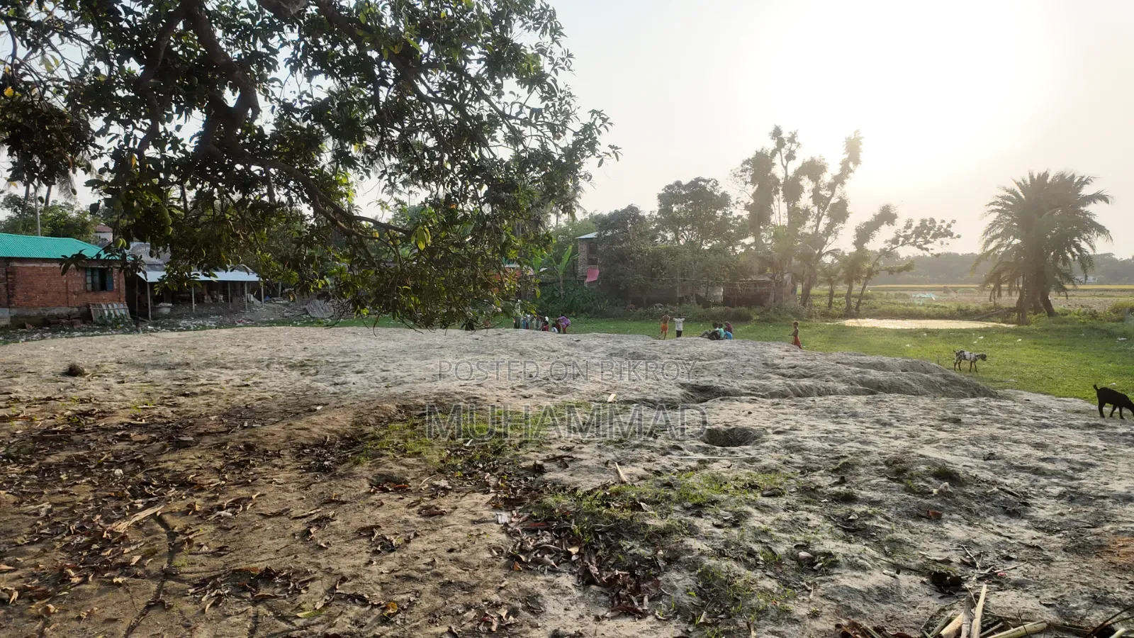 Land for Sale in Plots