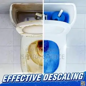 Automatic Flush Toilet Cleaner Tablet (10pcs)