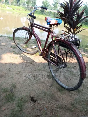 Captain Cycle