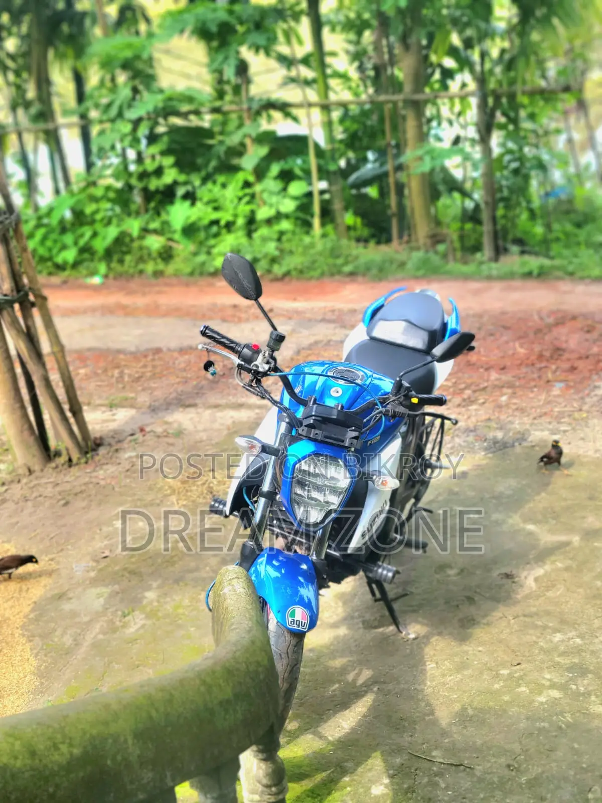 New Suzuki Gixxer SF FI 2026 White