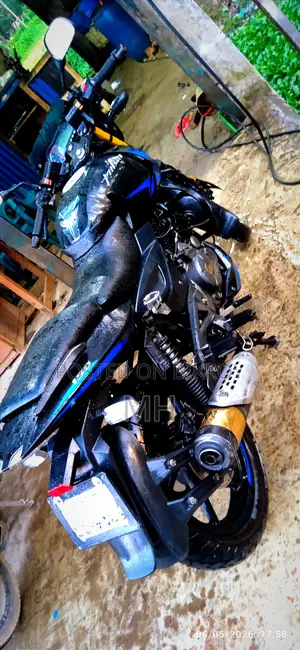 Bajaj Avenger 150 Street 2020 Blue
