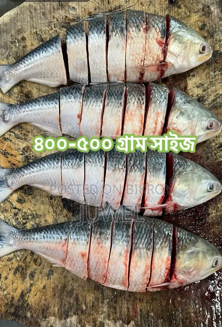 বরিশালের লোকাল নদীর তাজা মাছ