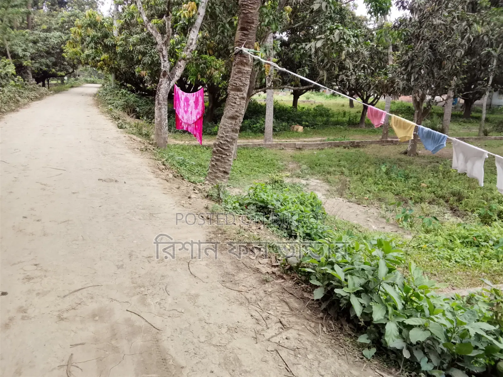 Land for Sale in Plots