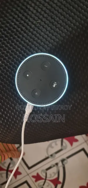 Amazon Alexa Google Assistant