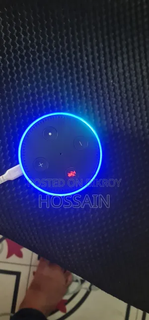 Amazon Alexa Google Assistant