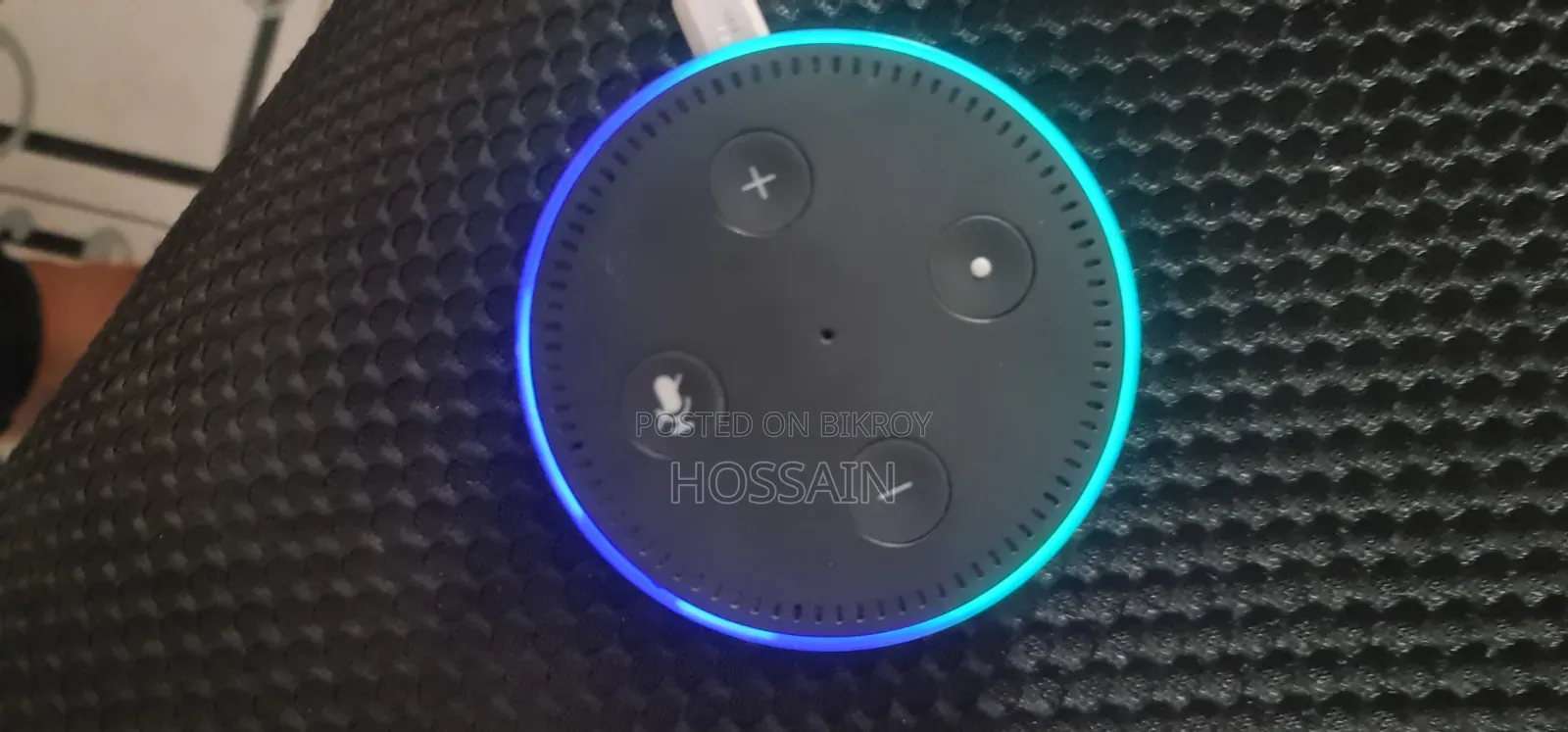 Amazon Alexa Google Assistant