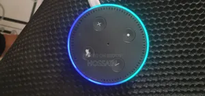 Amazon Alexa Google Assistant