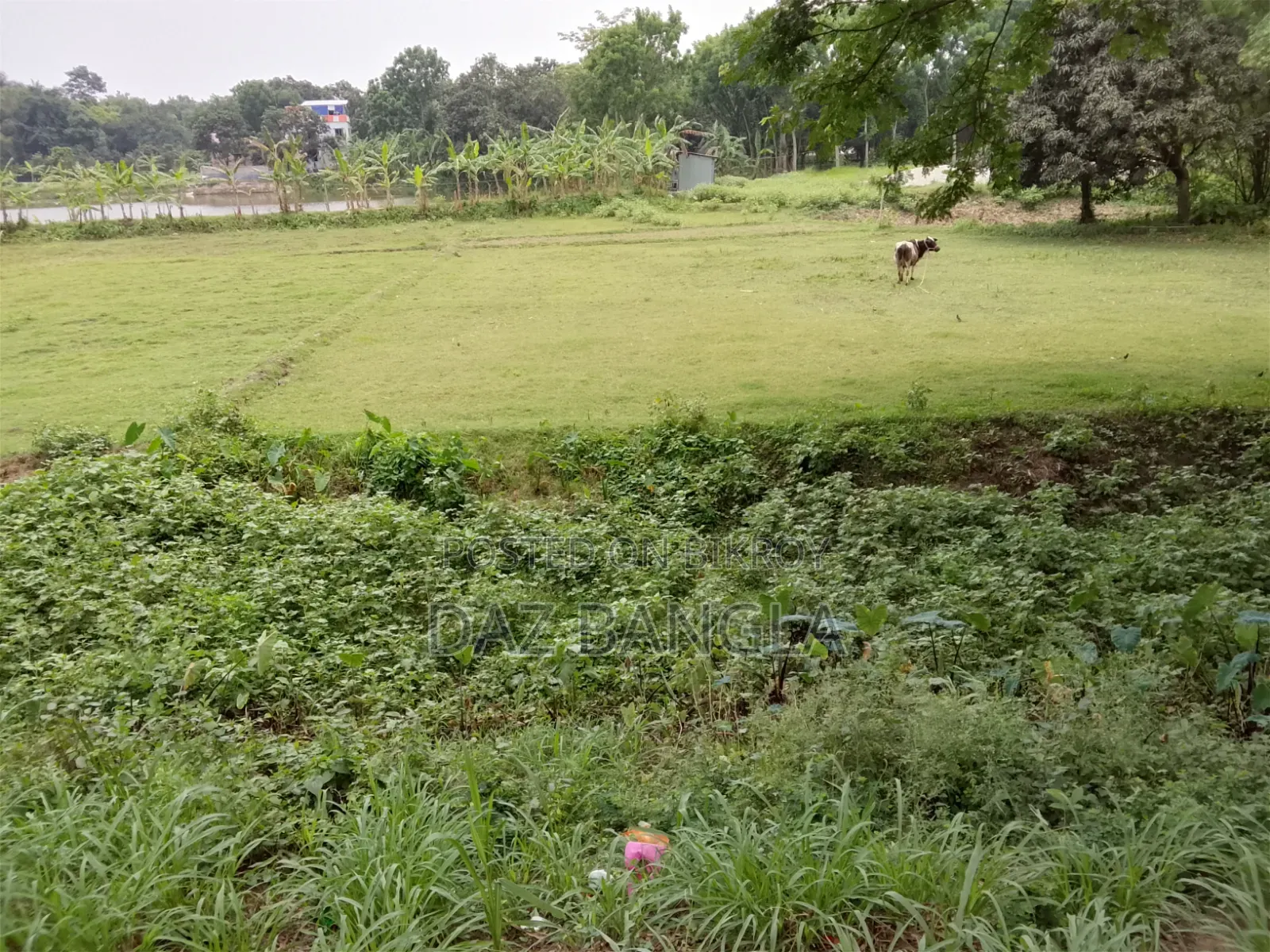 প্লট আকারে জমি