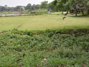 প্লট আকারে জমি