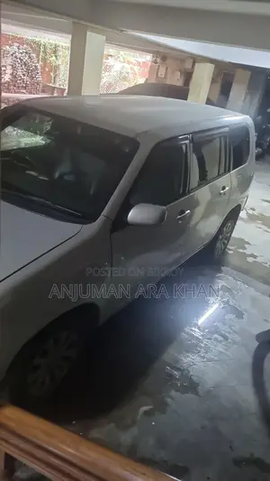 Toyota Probox 2010 Silver