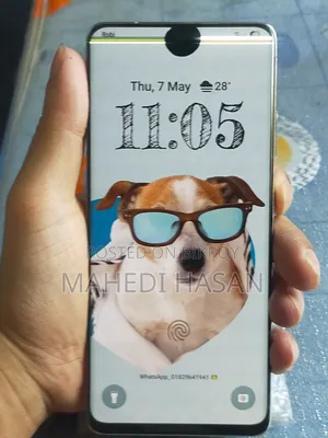Samsung Galaxy S21 Ultra 5G 256 GB Silver