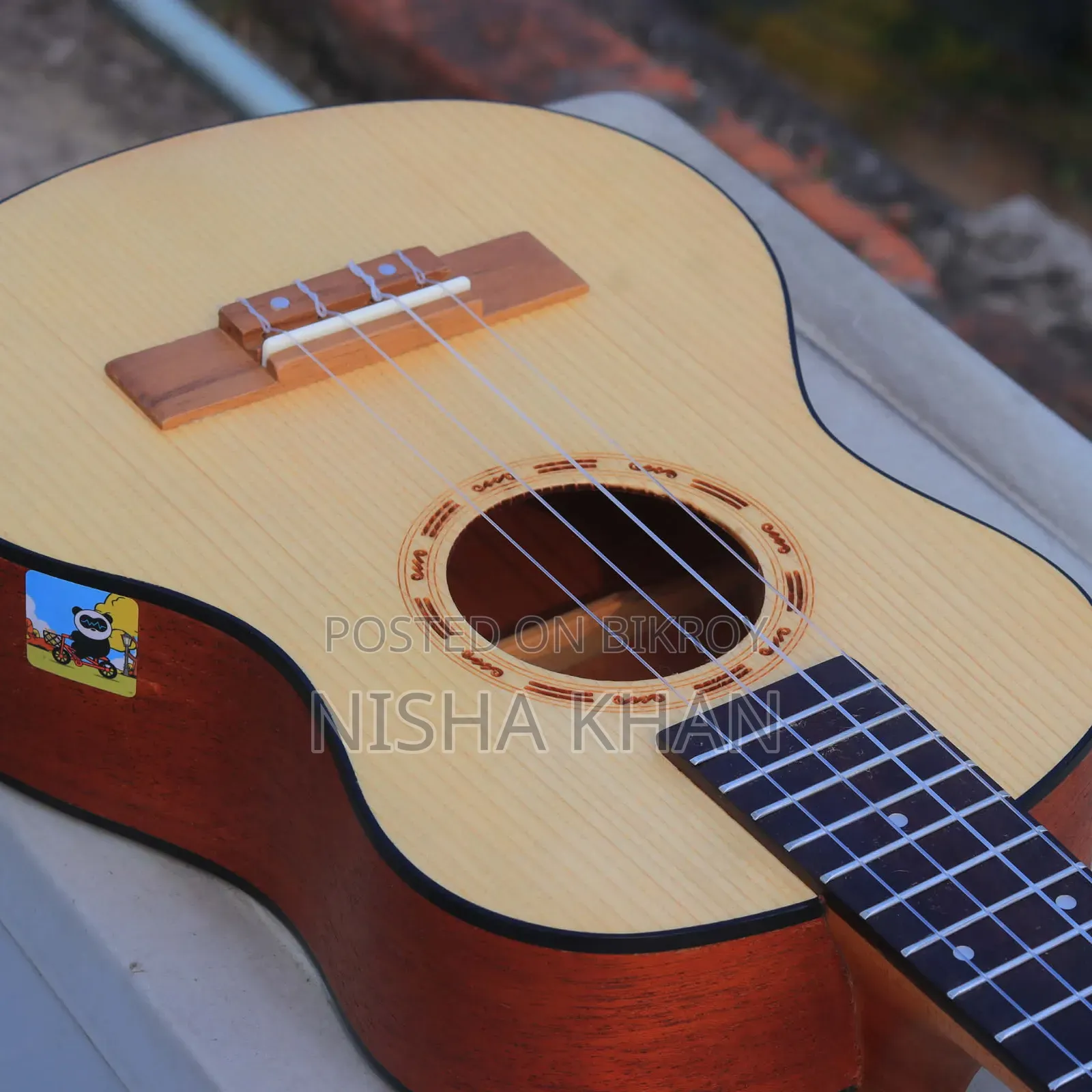 Brand New Ukulele, No Spots or Scratches