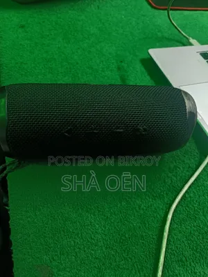 JBL Flip 5