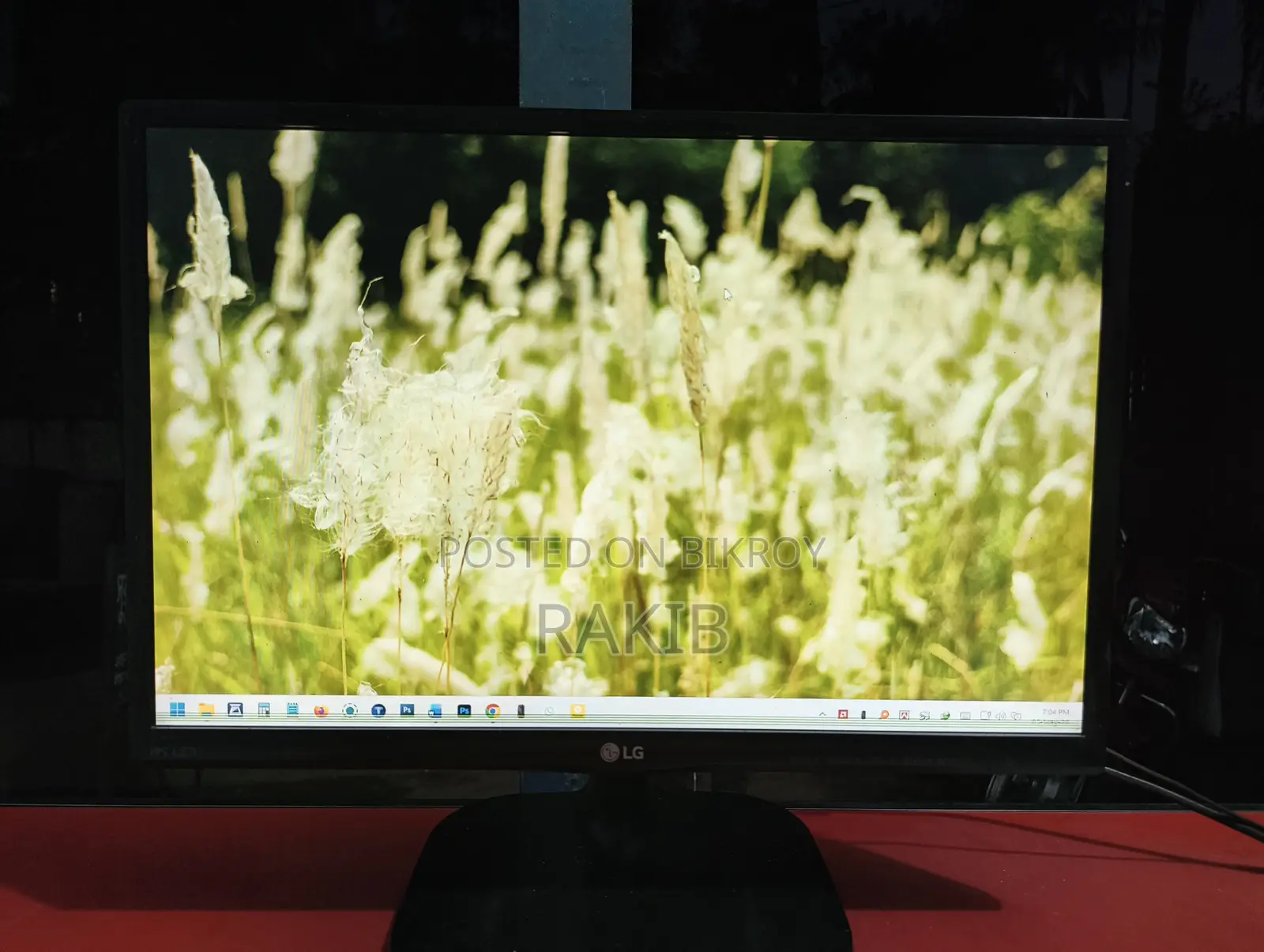LG IPS Monitor