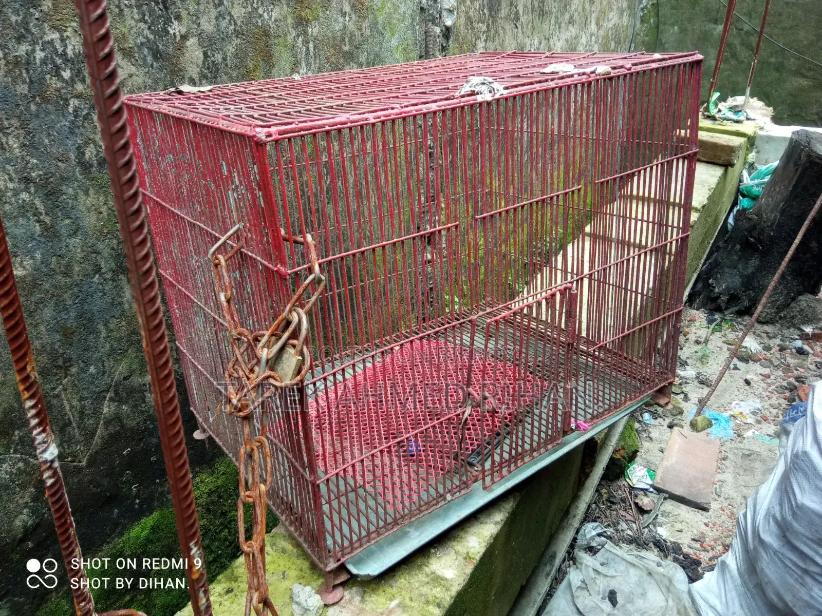 3 Bird Cages for Sale