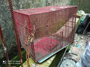 3 Bird Cages for Sale