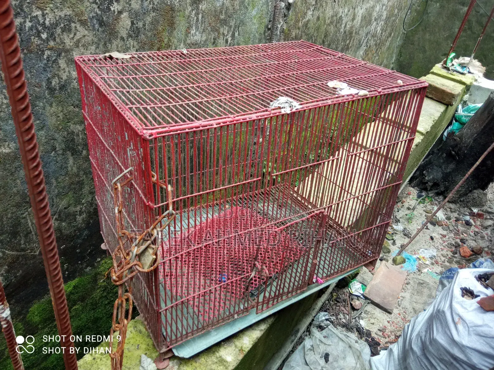 3 Bird Cages for Sale