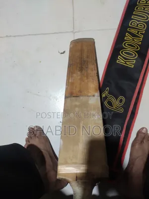 Bat For Sale, Inbox for Information