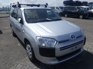 Toyota Probox 1.3 DX 2WD 2020 Silver