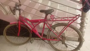 Cycle সাইকেল