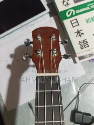 Guitar (Ukulele)