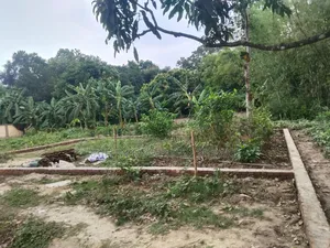 ৬ কাঠা জমি বিক্রয় করা হবে