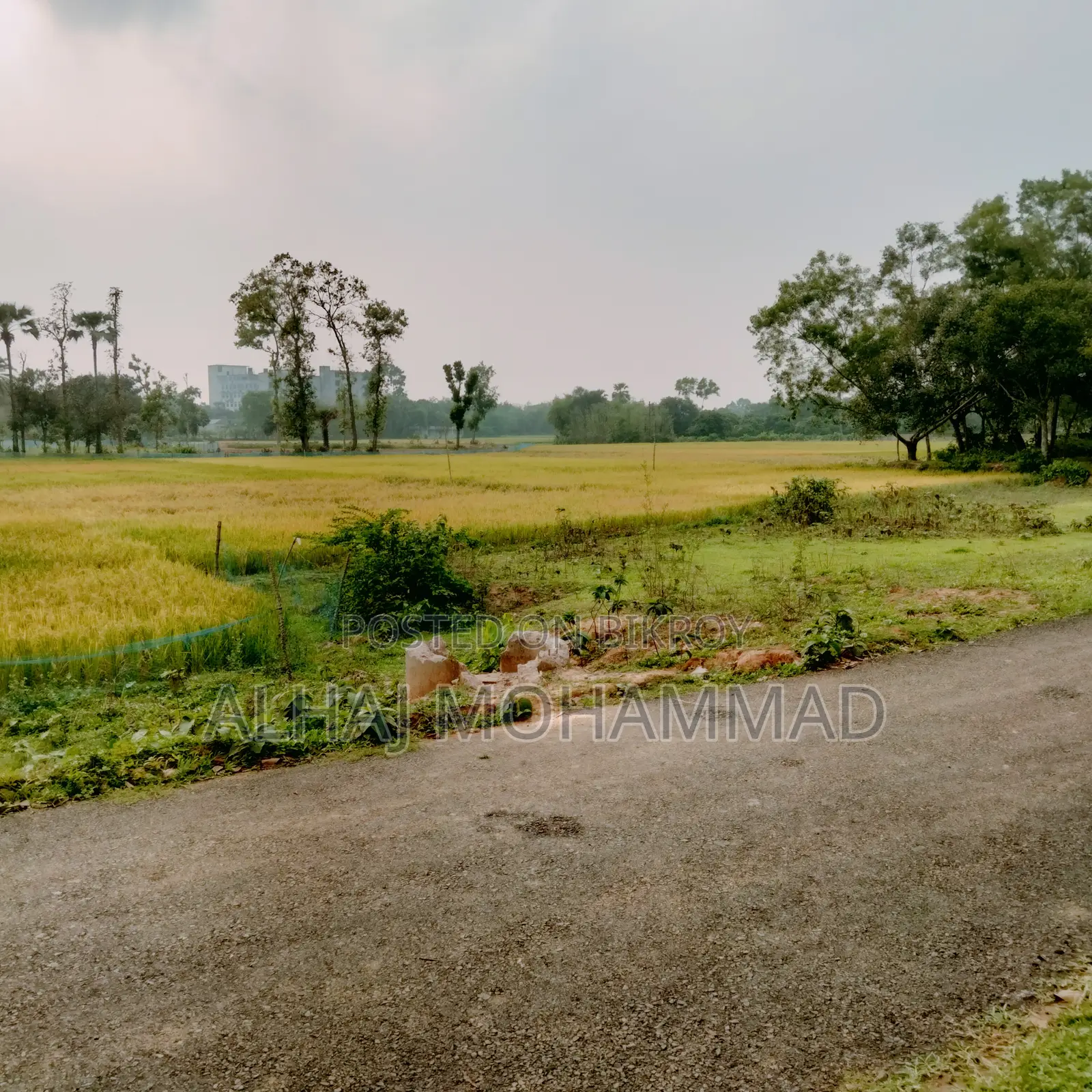 Land for sale!!!