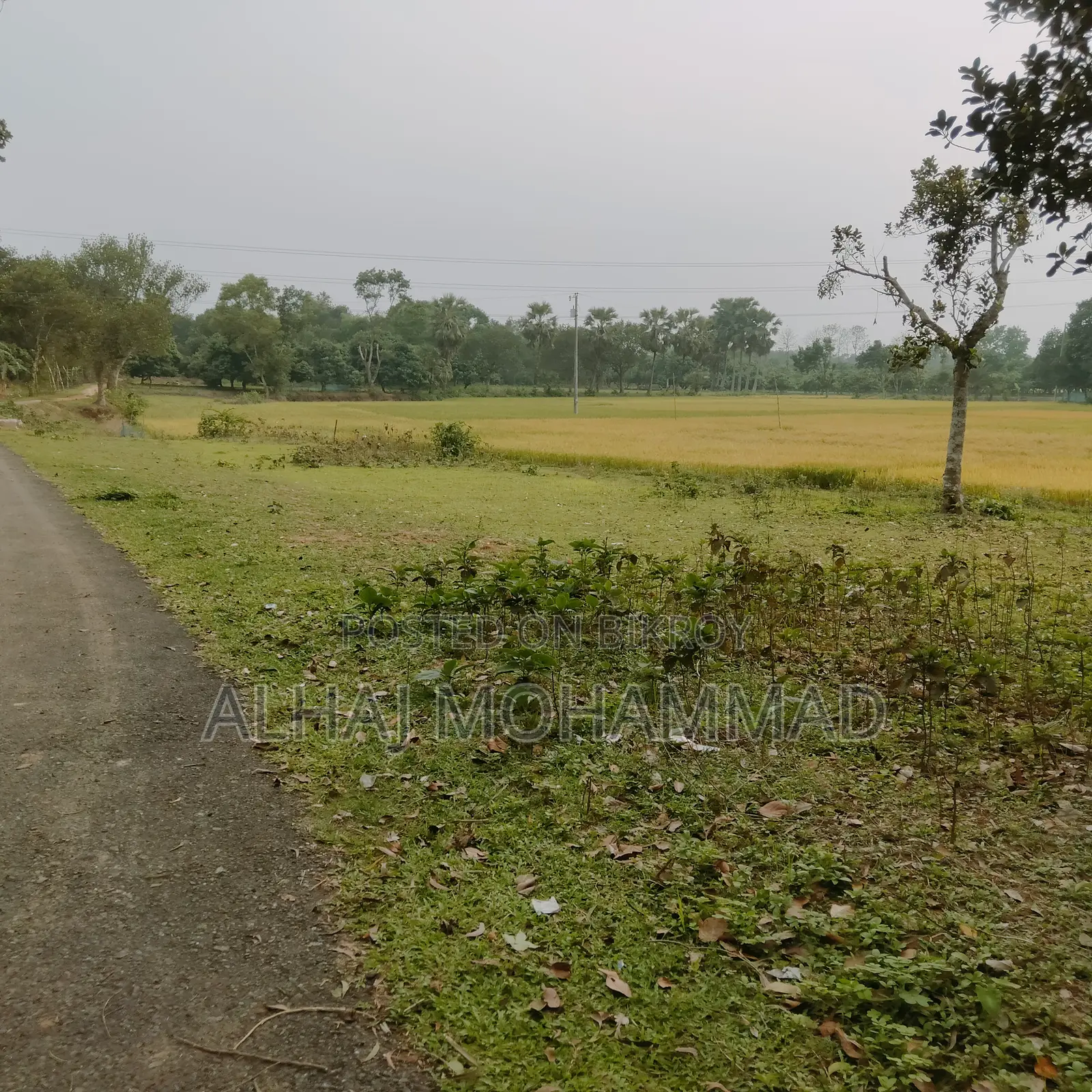 Land for sale!!!