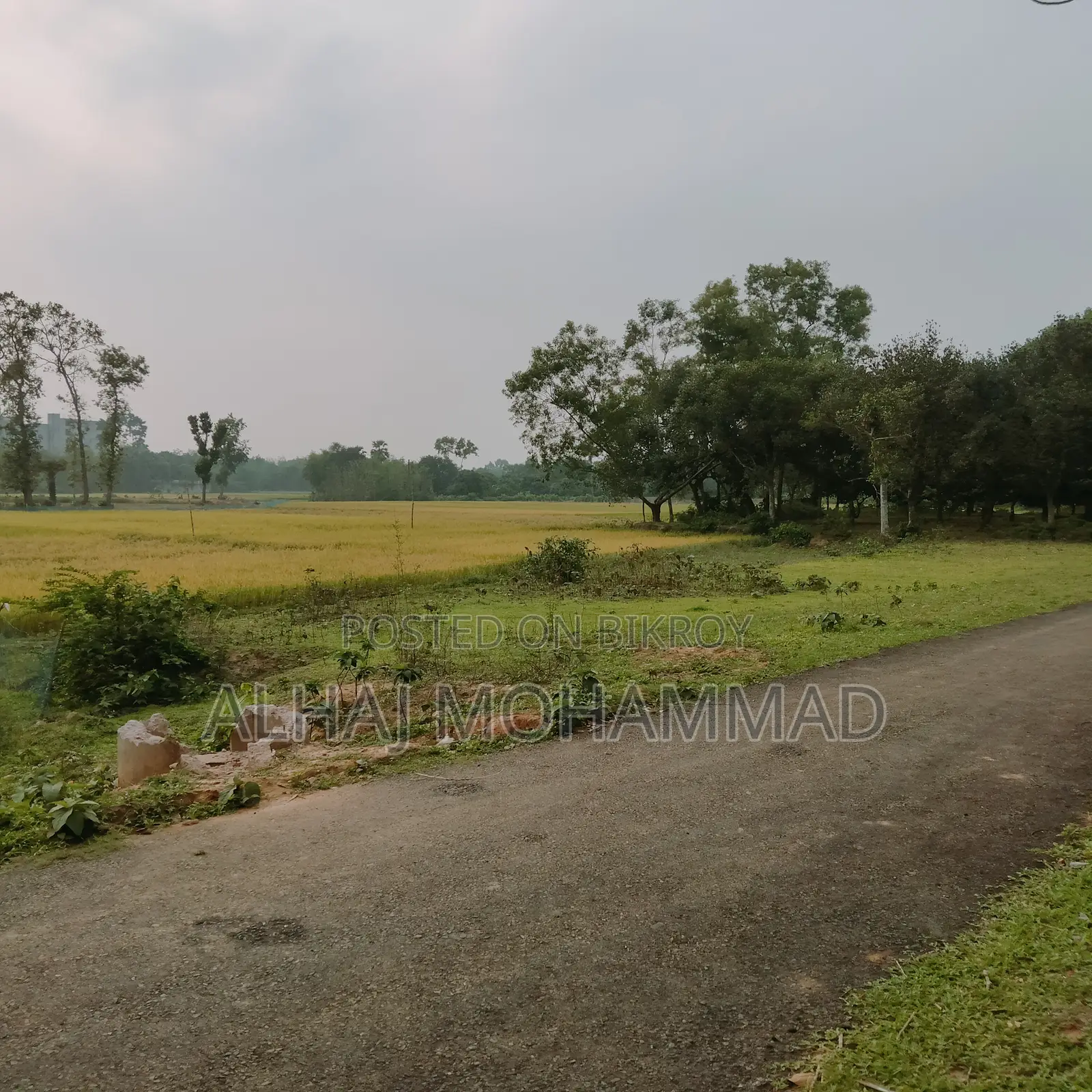 Land for sale!!!