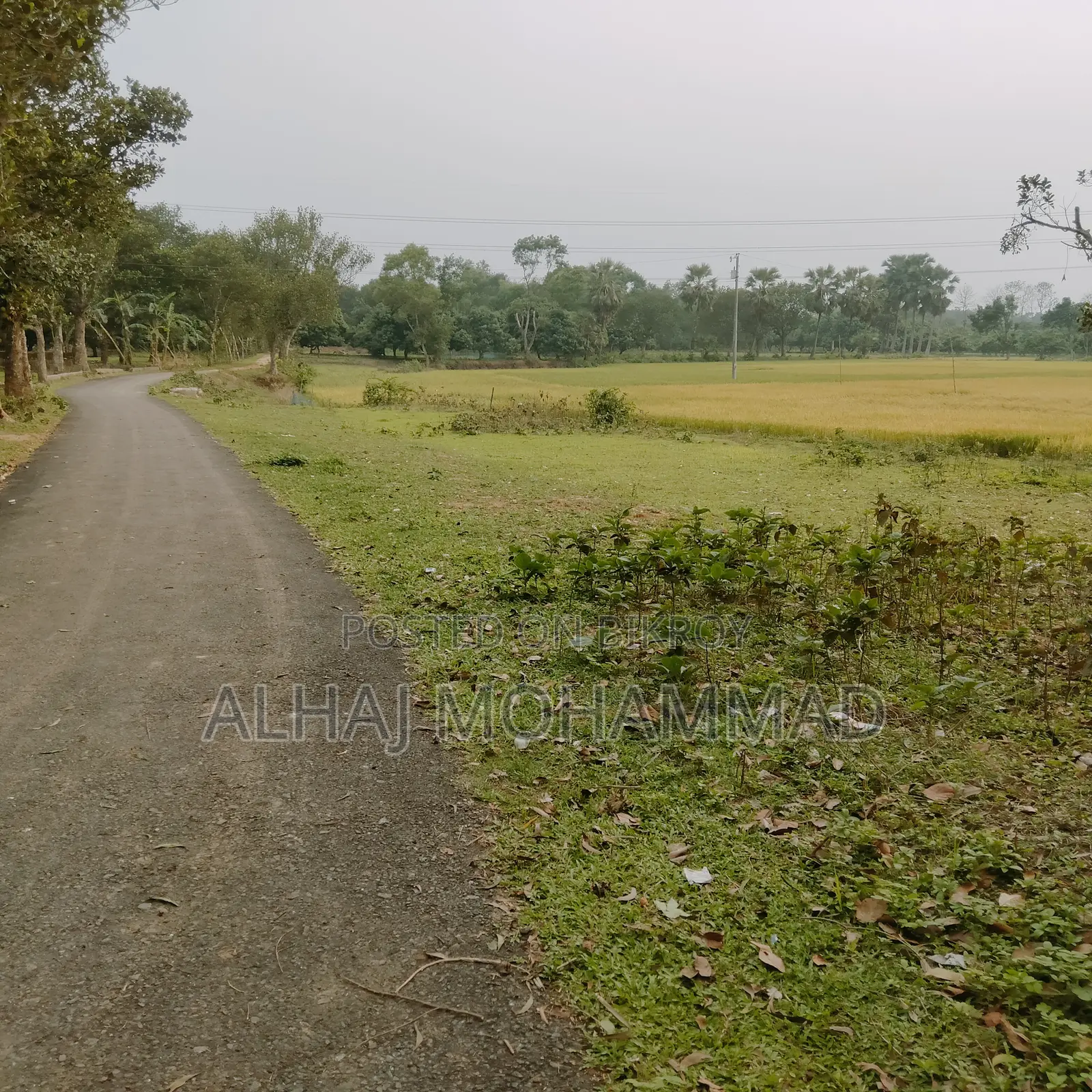 Land for sale!!!