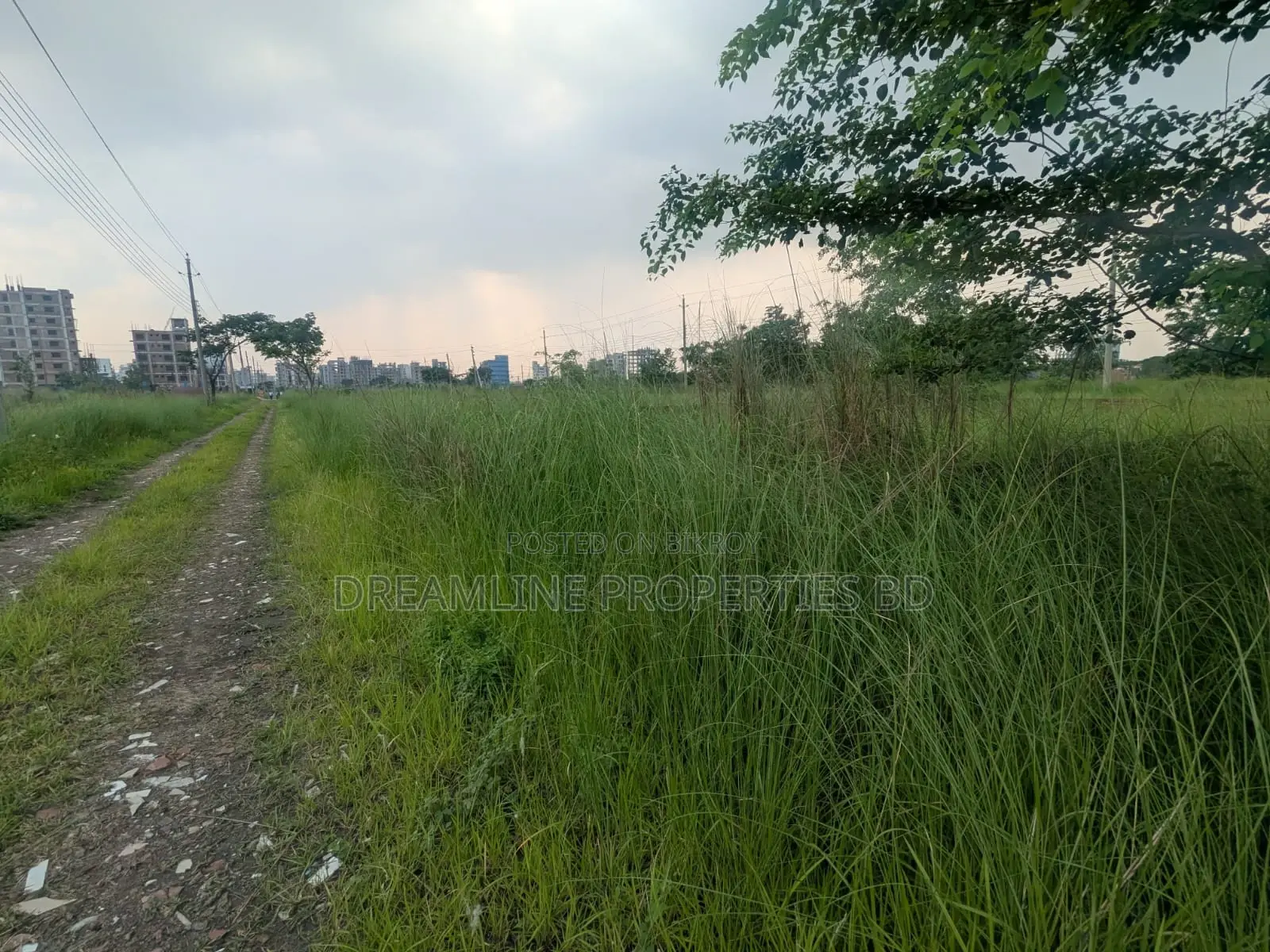 3 Katha South Facing Plot in N Block Near Bashundhara Sports City